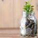 How Much Does Life Insurance Cost in 2024? (Real Rates & Saving Tips)