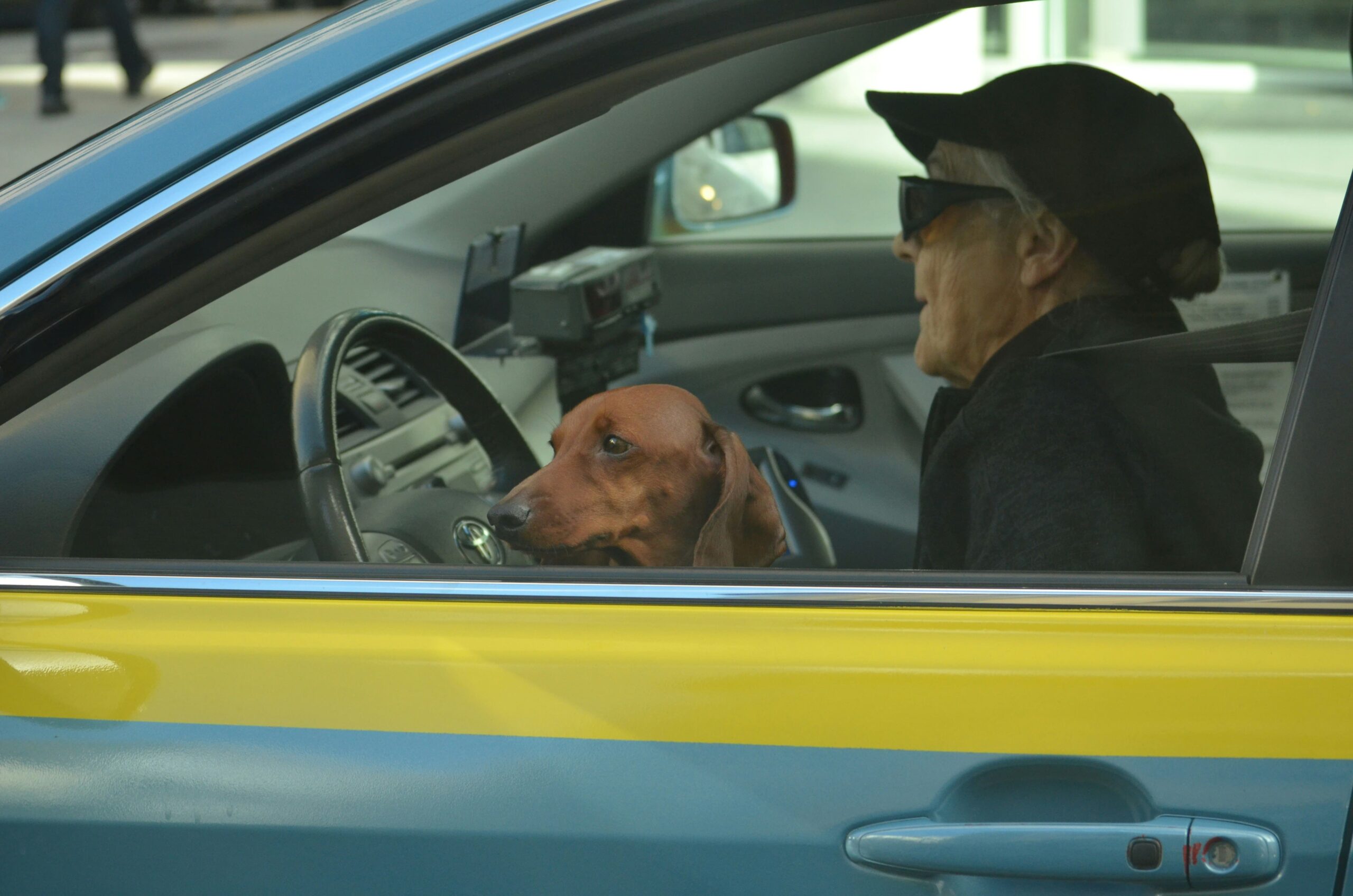 ramiro-pianarosa-v7HYSTHrVzk-unsplash (1) Does my auto insurance cover rental cars?